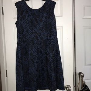 Black and Blue Dress